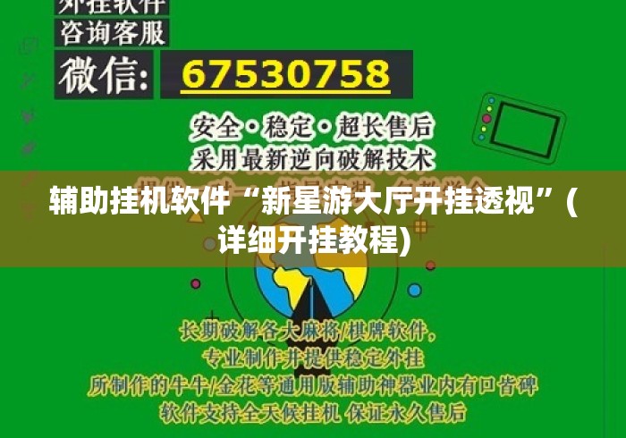 辅助挂机软件“新星游大厅开挂透视”(详细开挂教程)
