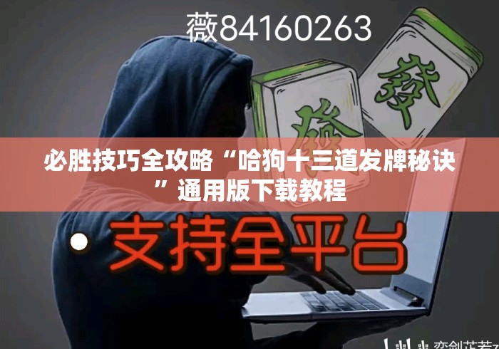 必胜技巧全攻略“哈狗十三道发牌秘诀”通用版下载教程