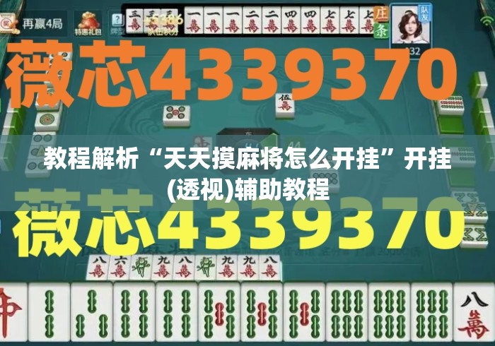 教程解析“天天摸麻将怎么开挂”开挂(透视)辅助教程