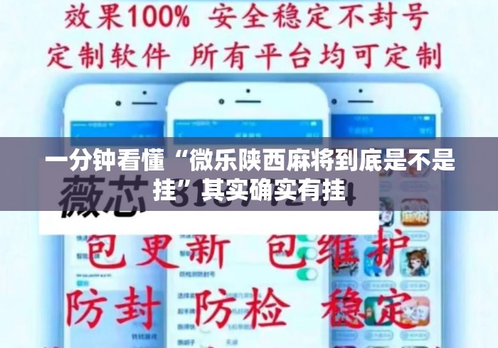 一分钟看懂“微乐陕西麻将到底是不是挂”其实确实有挂