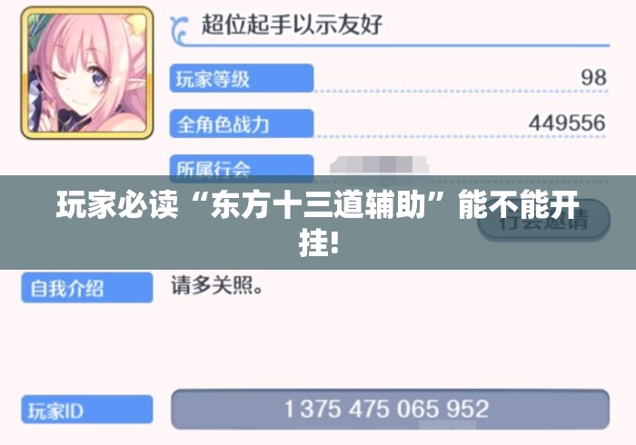 玩家必读“东方十三道辅助”能不能开挂!