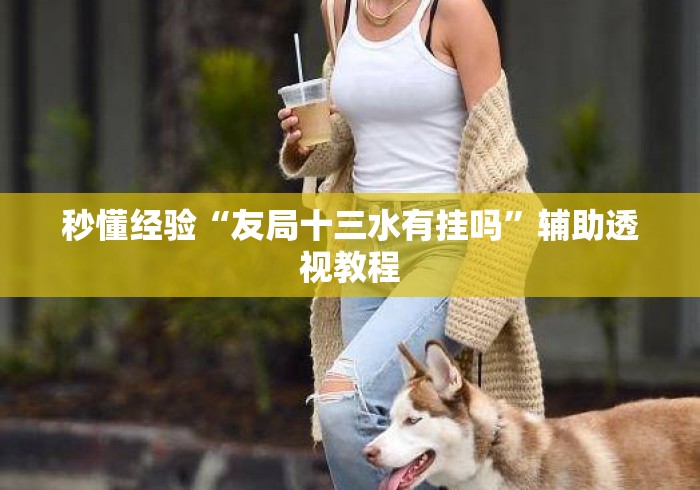 秒懂经验“友局十三水有挂吗”辅助透视教程