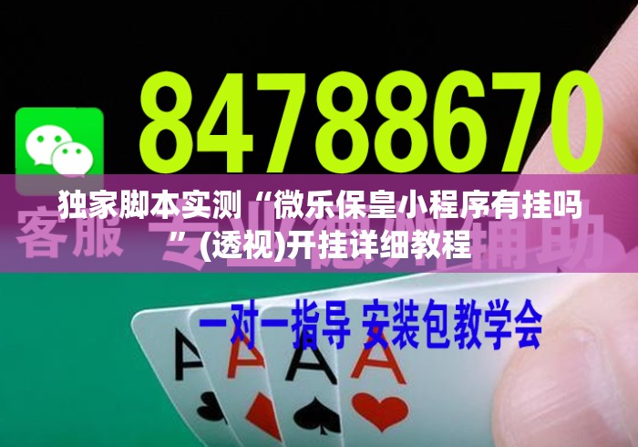 独家脚本实测“微乐保皇小程序有挂吗”(透视)开挂详细教程