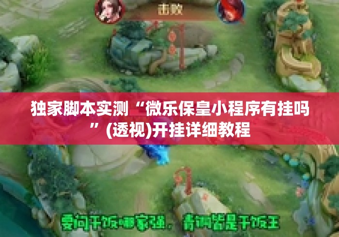 独家脚本实测“微乐保皇小程序有挂吗”(透视)开挂详细教程