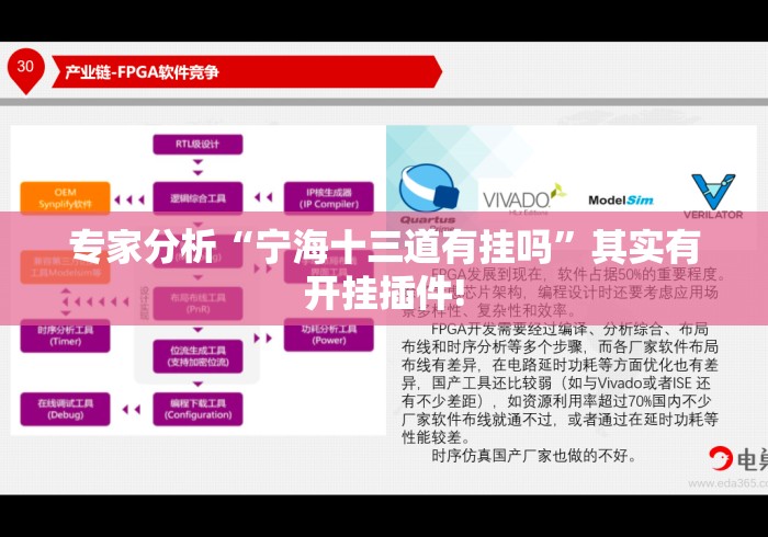 专家分析“宁海十三道有挂吗	”其实有开挂插件!