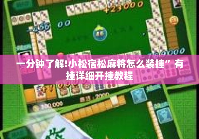 一分钟了解!小松宿松麻将怎么装挂”有挂详细开挂教程