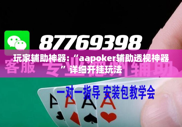 玩家辅助神器:“aapoker辅助透视神器”详细开挂玩法