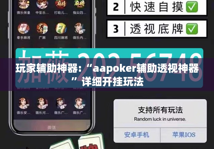 玩家辅助神器:“aapoker辅助透视神器”详细开挂玩法