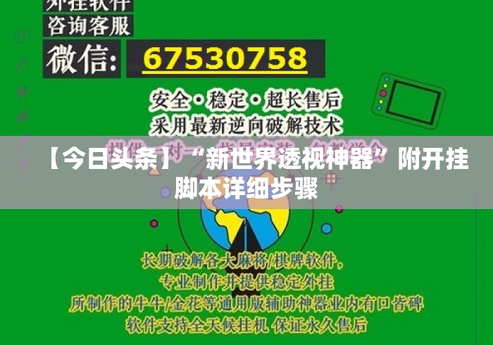 【今日头条】“新世界透视神器”附开挂脚本详细步骤