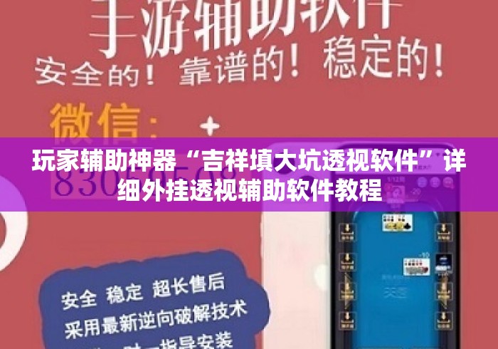 玩家辅助神器“吉祥填大坑透视软件”详细外挂透视辅助软件教程