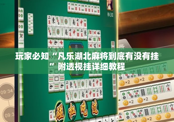 玩家必知“凡乐湖北麻将到底有没有挂”附透视挂详细教程