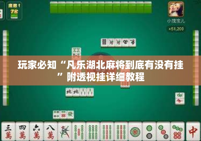 玩家必知“凡乐湖北麻将到底有没有挂	”附透视挂详细教程