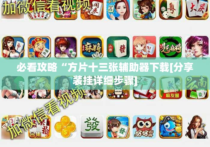 必看攻略“方片十三张辅助器下载[分享装挂详细步骤]