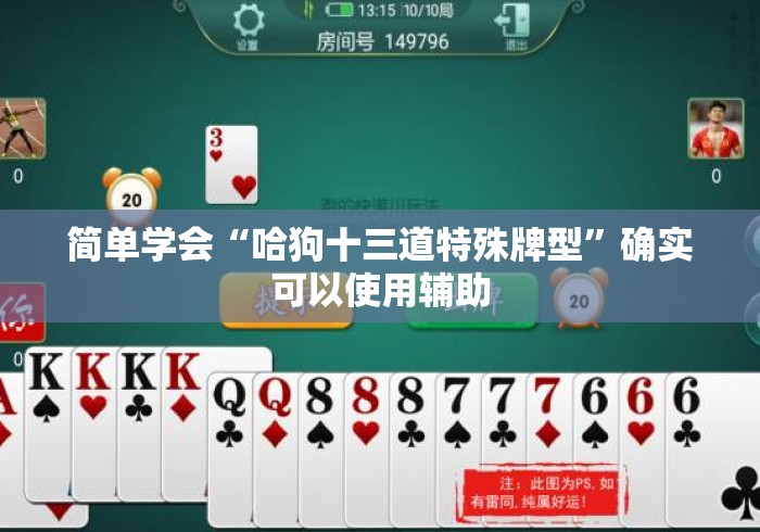 简单学会“哈狗十三道特殊牌型”确实可以使用辅助