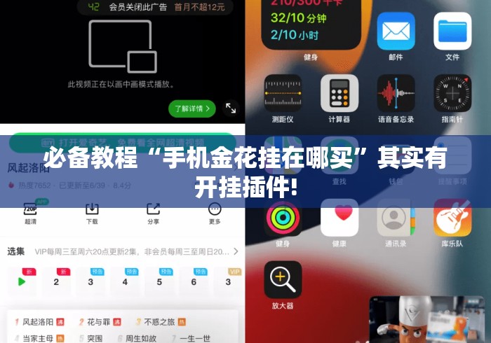 必备教程“手机金花挂在哪买”其实有开挂插件!