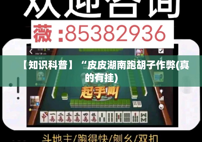【知识科普】“皮皮湖南跑胡子作弊(真的有挂) 【知识科普】“皮皮湖南跑胡子作弊(真的有挂)