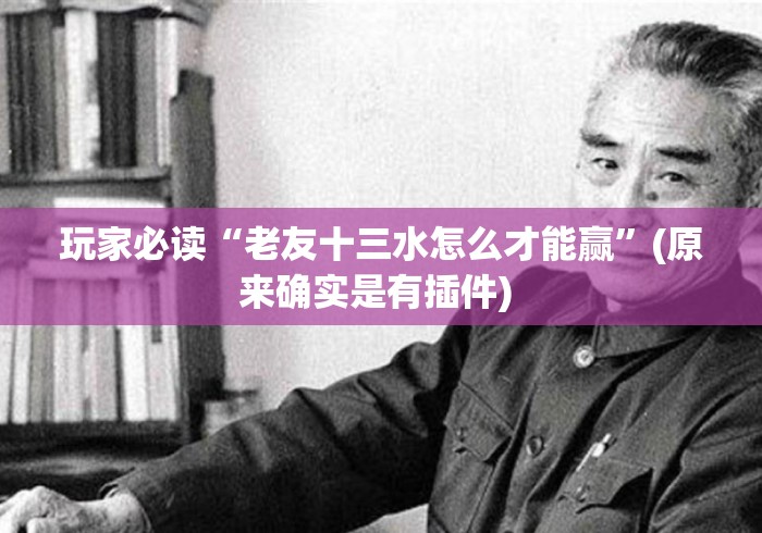 玩家必读“老友十三水怎么才能赢”(原来确实是有插件) 