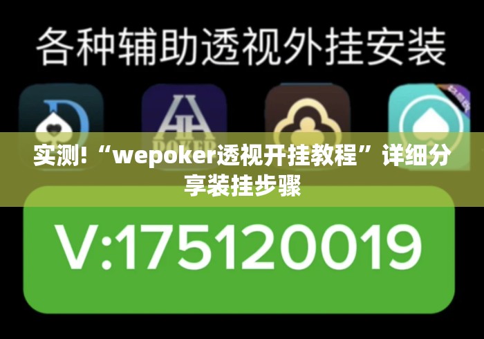 实测!“wepoker透视开挂教程”详细分享装挂步骤