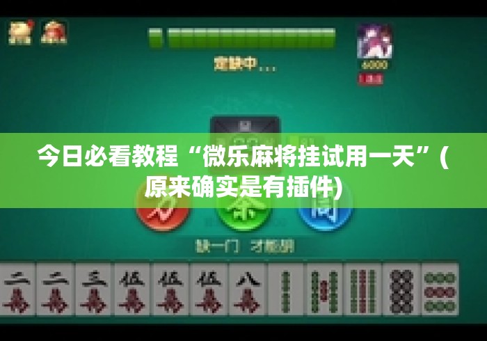 今日必看教程“微乐麻将挂试用一天”(原来确实是有插件)