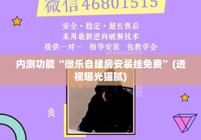 内测功能“微乐自建房安装挂免费	”(透视曝光猫腻)