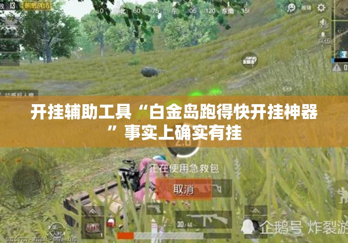 开挂辅助工具“白金岛跑得快开挂神器”事实上确实有挂