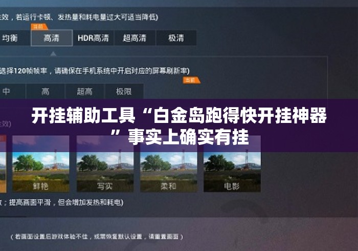 开挂辅助工具“白金岛跑得快开挂神器”事实上确实有挂