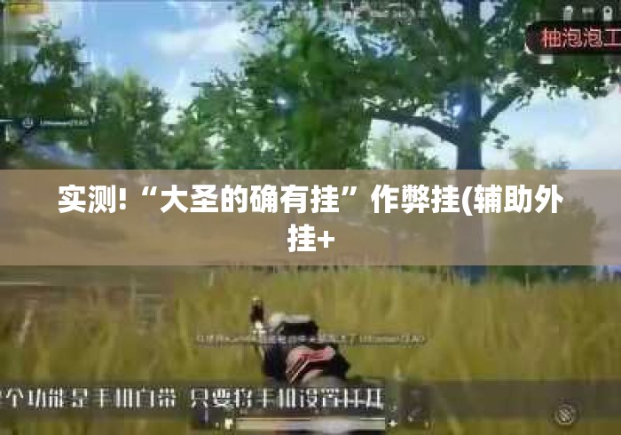 实测!“大圣的确有挂	”作弊挂(辅助外挂+