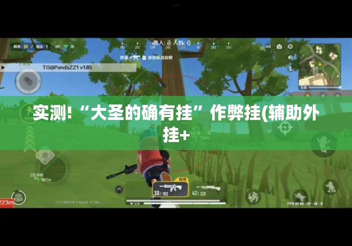 实测!“大圣的确有挂”作弊挂(辅助外挂+