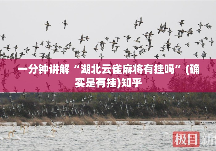 一分钟讲解“湖北云雀麻将有挂吗”(确实是有挂)知乎