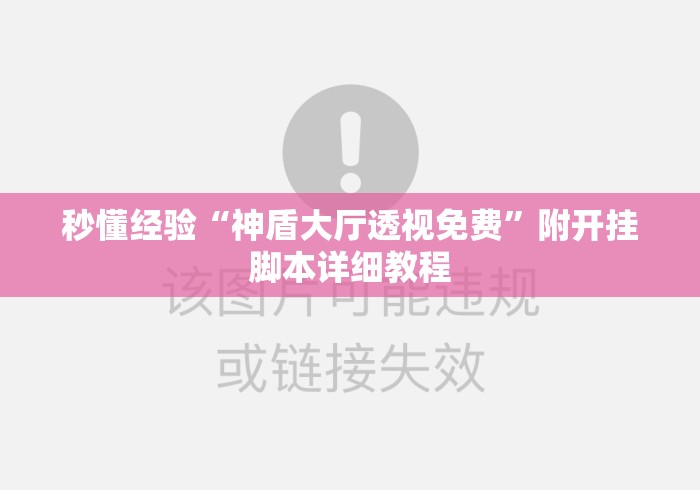 秒懂经验“神盾大厅透视免费”附开挂脚本详细教程