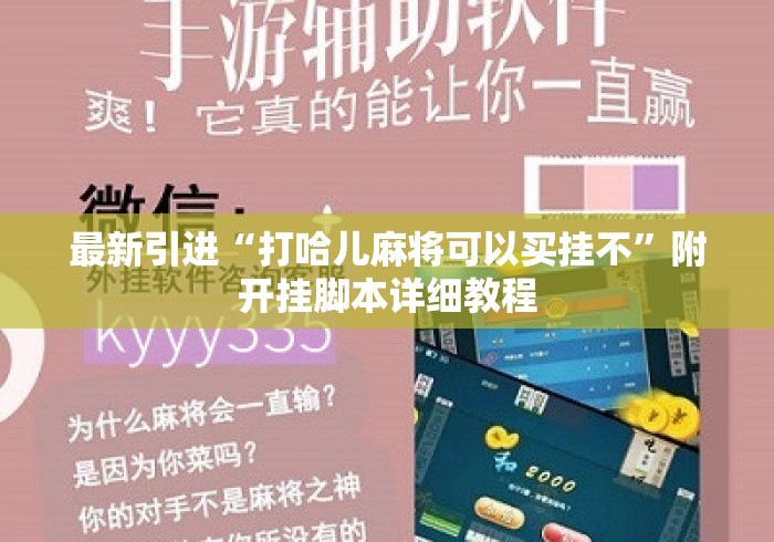 最新引进“打哈儿麻将可以买挂不”附开挂脚本详细教程