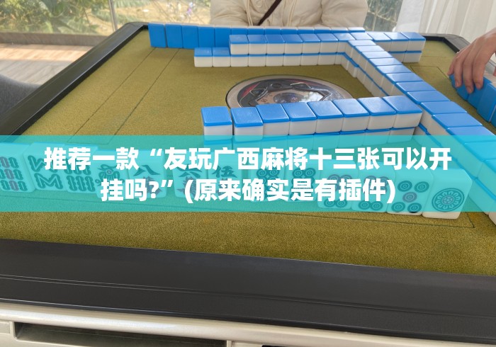 推荐一款“友玩广西麻将十三张可以开挂吗?	”(原来确实是有插件)